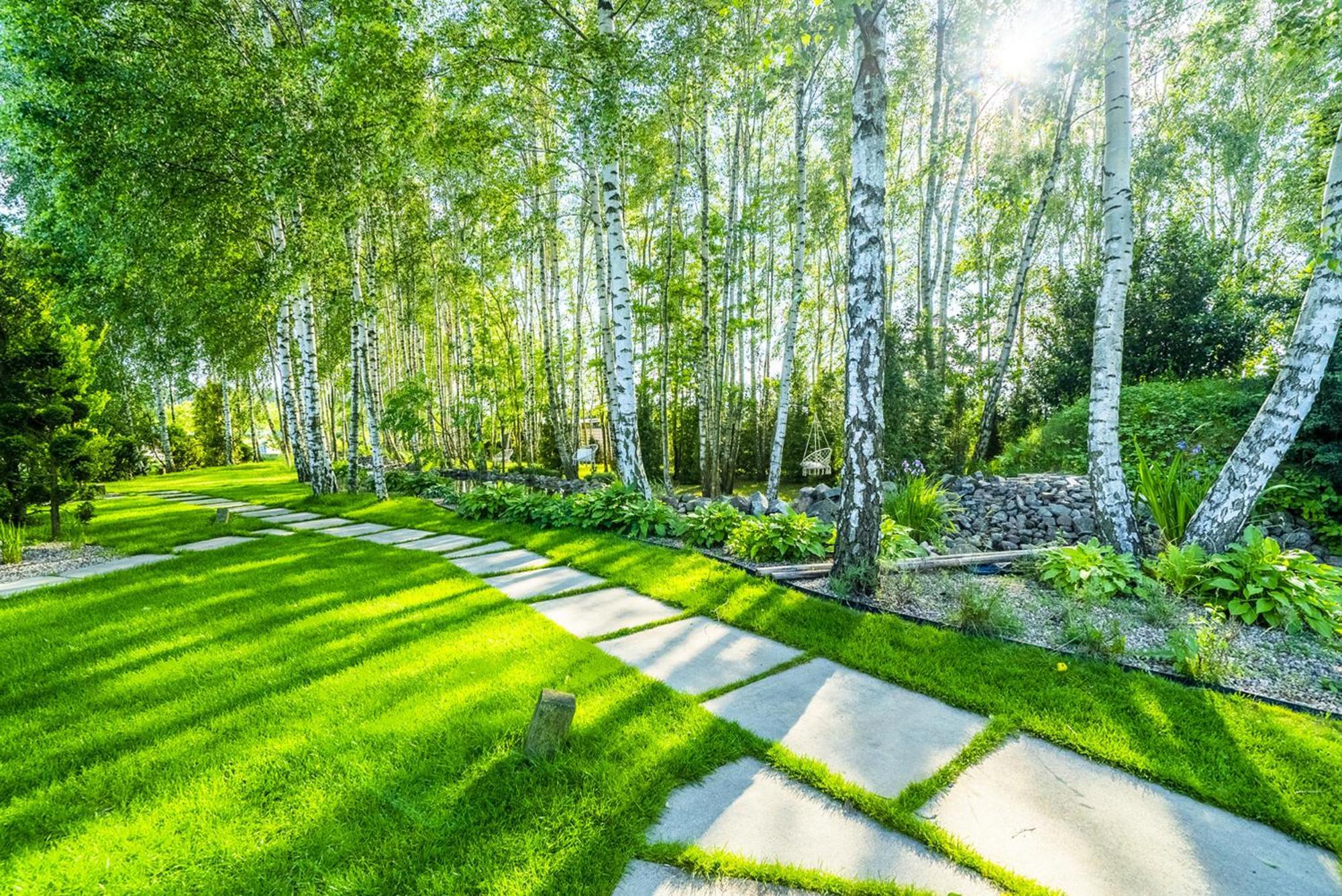 Nowa Dana Osrodek Wypoczynkowy Apartamento Lebcz Exterior foto